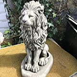 Statua del leone in posizione seduta, ornamento per esterni, da giardino, con l'animale africano in pietra ricostituita