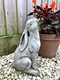 Statua in pietra di lepre con coniglio | Decorazione da giardino per esterni con coniglietto animale