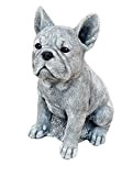 Stone and Style - Statuetta di bulldog francese Frenchie, in pietra, resistente al gelo e alle intemperie