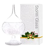 Storm Glass Weather Predictor- Storm Glass Crystal Snow Globe Weather Station Weather Ball Glass, Home/Office Desk Decoration, Unique Family and ...
