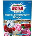 Substral, fertilizzante Osmocote, adatto per rose e arbusti da fiore, confezione da 1,5 kg [etichetta in lingua italiana non garantita]
