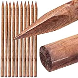 Suinga Confezione 10 x picchetti per alberi 180 cm, Ø 4 cm, tutor con punta, pali in legno, palizzate, picchetti ...