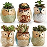 SUN-E Vaso per gufo Vasi per piante di cactus succulente in ceramica Fioriere per fiori Contenitore Fioriera Vasi per bonsai ...