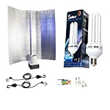 Supacrop Kit di illuminazione basso consumo 200 W CFL Solux crescita + riflettore Pearlpro