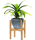 Supporto per Piante in Bamboo di Harcas. Regolabile per adattarsi a vasi per piante da 22 a 32 centimetri. Uso ...