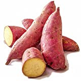 SVI Fresh 20 pezzi dolce patate da seme di verdure per la semina rosa