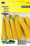 Sweet corn Earlibird F1 - Ortaggi o piante da frutto