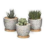 T4U Vaso di Cactus Succulente in Cemento, Contenitore per Finestra in Vaso di Fioriera in Cemento, con Vassoio in per ...