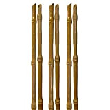 Tenax Tutore Sintetico per Piante, Bamboo Up, Altezza 120 cm, Confezione da 6 pezzi, Colore simil bambù, Sostiene Ortaggi e ...