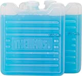 Thermos Ice Pack Freezer Board 2 x 100g - 179408 Cooler Box & Bags Freeze Blocks