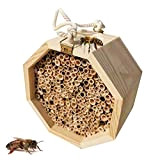 TIZJ Casa per Insetti in Legno Casa Naturale Fatta A Mano Hotel Bee Hive Wild Pollinator Bee Habitat per Coccinelle ...