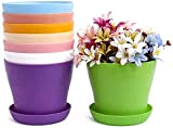 TOKERD 10 Pezzi 14cm Vaso di Fiori balcone Colorati vasi in Plastica per Fiori, Vasi in Plastica per Piante con ...