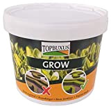 TOPBUXUS GROW - Fertilizzante per il bosso, come quello usato dai coltivatori, nessuna foglia gialla, 5 kg per 400m2