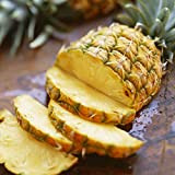 TOYHEART Semi Di Frutta 100Pcs Premium, Semi Di Ananas Semi Di Fattoria Naturali Profumati Nutrienti Caldi Per Il Giardino Giallo