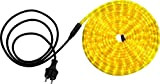 Tradizionale tubo di plastica trasparente 24 LED giallo / m Globo 38965