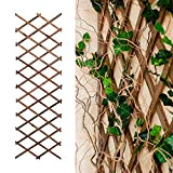 Traliccio per rampicanti estensibile (180 cm x 25 cm) reticolato per piante rampicanti arrampica piante ideale come spalliera per rampicanti ...