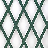 Treplas 0,50x2 m, Verde, Traliccio Estensibile in PVC per Sostegno a Muro di Fiori e Piante Rampicanti