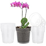 TSKDKIT 10 pieza vasi per orchidee vasi trasparenti plastica piccoli vaso orchidee plastica 11,5cm vasi fiori per interni, esterni, giardino, ...