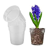 TSLBW 5 Pieza Vaso Trasparente per Orchidee Vaso di Fiori in Plastica Trasparente Vaso per Orchidee Trasparente in Plastica con ...