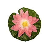 Ubbink Ninfea Rosa 20 cm con Gocce di Pioggia