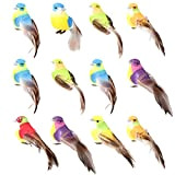 Uccelli Finti,Uccelli Decorativi Colorati,12 Pezzi Uccellini Finti Artificiali Colorati,Decorazione a Forma di Uccellino,Uccellini Finti per la Decorazione di Piante da ...