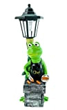 Udo Schmidt GmbH & Co. KG Rana Grillmeister con Lanterna Solare a LED e Grembiule da Chef Frog