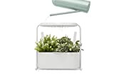 Umbra Giardino Indoor Herb Garden Set Perforato con mensola e Vassoio per Acqua Caduta e Sistema di Scarico – Vaso da Giardino ...