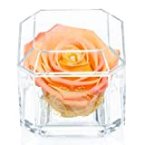 Una rosa reale al 100% che dura anni - Petali eterni, fatti a mano nel Regno Unito - Solo oro ...