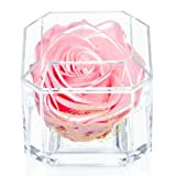 Una rosa reale al 100% che dura anni - Petali eterni, fatti a mano nel Regno Unito - Solo oro ...