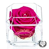Una rosa reale al 100% che dura anni - Petali eterni, fatti a mano nel Regno Unito - Solo in ...