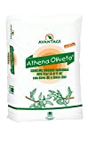 Unimer Athena Oliveto 25KG Concime Organo Minerale NPK con Boro, e Zinco concime per l'olivo
