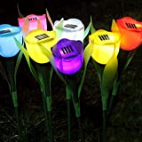Uonlytech Lampada da Giardino Solare Luce da Palo Impermeabile da Giardino di Tulipani Luce Solare per Fiori da Giardino di ...