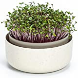 Urbalive Microgreens - Ciotola per la coltivazione di semi di crescione, in plastica, con mescolanza di caffè, design per germogli, ...