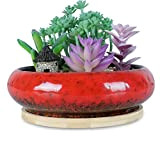 Vasi per piante grasse, 15,5 cm grandi vasi per piante succulente con vassoio di drenaggio vasi per bonsai in ceramica ...
