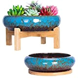 Vasi per piante grasse, grandi vasi per piante grasse con vassoio di drenaggio, vasi per bonsai poco profondi con supporto ...