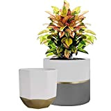 Vasi per Piante Set 2 Vaso da Fiori in Ceramica 16,5 x 15 cm per Herb Succulent Interni Esterni Balcony ...