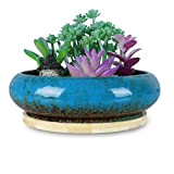 Vasi per succulente, vasi per piante succulente grandi da 15,1 cm con drenaggio vasi per bonsai in ceramica con vassoio ...