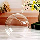 Vaso da fiori in vetro trasparente da appendere, decorazione per piante, sfere di vetro, piante grasse, E