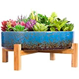Vaso per bonsai in ceramica da 29 cm con drenaggio, grande vaso per piante succulente per interni e cactus da ...