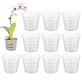 Vaso per orchidee in plastica 10PZ Vaso da fiori in plastica trasparente per orchidee con foro traspirante Fendel vasi di ...