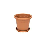 Vaso per piante fiori CLEMATIS + sottovaso diametro 15 cm colore: terracotta