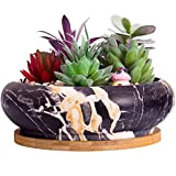 Vaso per piante grasse, grande vaso per piante grasse con drenaggio vassoio in bambù vaso per bonsai in ceramica per ...