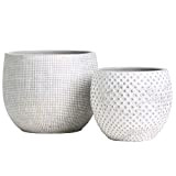 Vaso per piante in ceramica in oro bianco da 2 a 17 e 14 cm per interni in cemento per ...