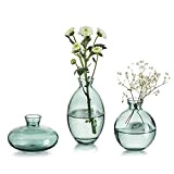 Vaso Piccolo Per La Decorazione A Mano Vetro Costruito A Tavola Vasi Per Fiori, 3Pcs Vintage Verde Bud Vases Aestetic ...
