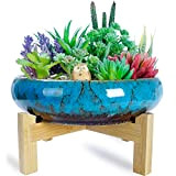 Vaso rotondo grande per piante grasse con supporto, 25.4 cm, in ceramica, stile vintage, contenitore decorativo per piante da giardino ...
