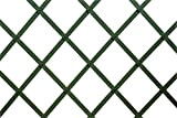 VERDELOOK Traliccio Estensibile in plastica, 100x200 cm, Verde, Decorazioni terrazza