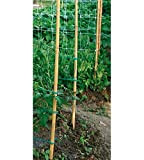 Verdemax, canne di bambù da 180 cm, 22-24 mm di diametro, (6636)