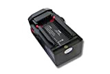 vhbw batteria compatibile con Hilti TE6A, TE7A, TE 6A, TE 7A attrezzi da lavoro (3000 mAh, Li-Ion, 36 V)