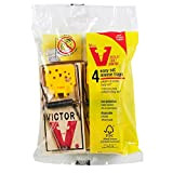 Victor Easy Set, trappole per topi, confezione da 12 pezzi (etichetta in lingua italiana non garantita)
