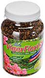 VIGORFIORI S, concime granulare completo con pronto effetto, lunga durata e ferro altamente rinverdente per piante e fiori, kg 1,3, ...